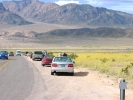 PICTURES/Death Valley - Wildflowers/t_Death Valley - Tourists & flowers.JPG